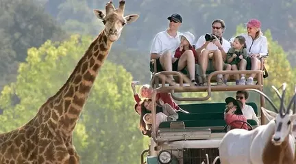 آفریقای جنوبی